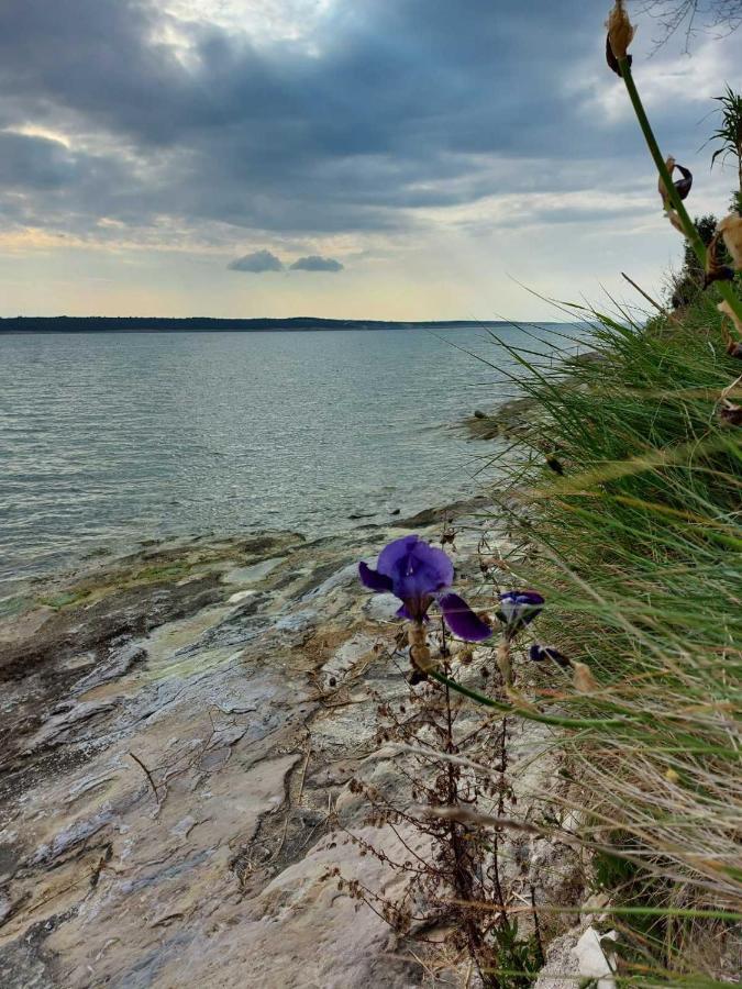 Apartmani Seaview Ljubač Esterno foto